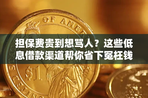 济南担保费贵到想骂人？这些低息借款渠道帮你省下冤枉钱