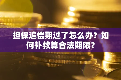 济南担保追偿期过了怎么办？如何补救算合法期限？